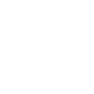 Colonial Life