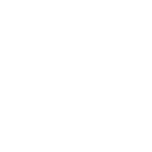 Guardian