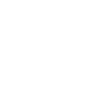 Lincoln Financial Group logo