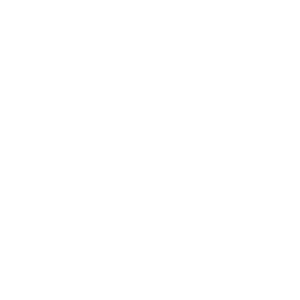 Mutual of Omaha Transparent Lion