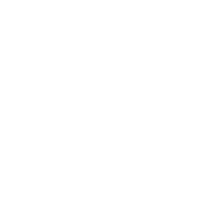 Reliance Standard logo