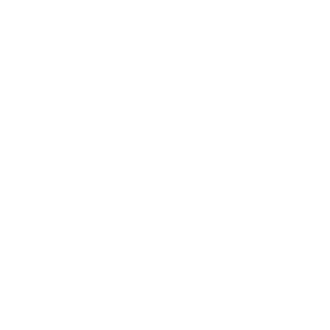 The Standard