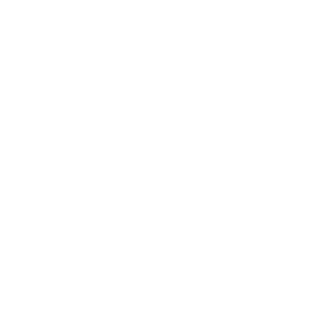 VSP